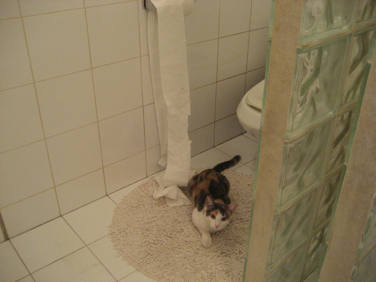 爱游戏下载-ICON：那些在欧冠留名百年的足球巨星，欧冠足球明星